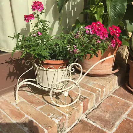 圣埃琳娜乡村民宿酒店 乡村民宿 圣吉米纳诺