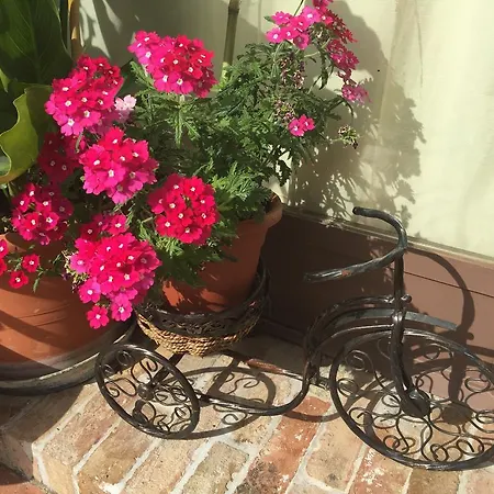 Country house Podere Sant'elena *