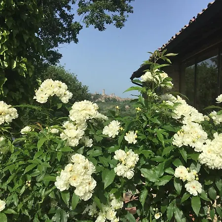 Country house Podere Sant'elena San Gimignano