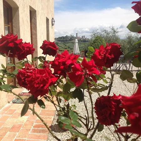 圣埃琳娜乡村民宿酒店 * 圣吉米纳诺