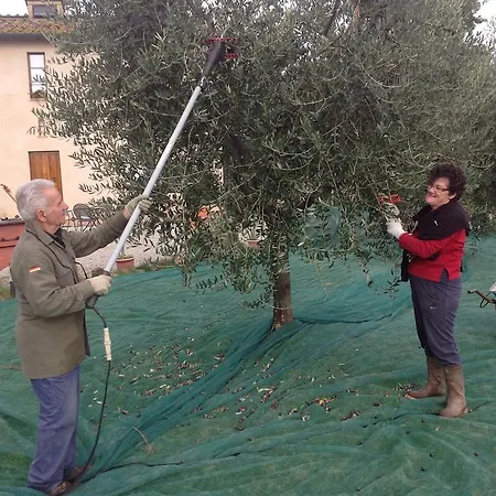 Country house Podere Sant'elena San Gimignano