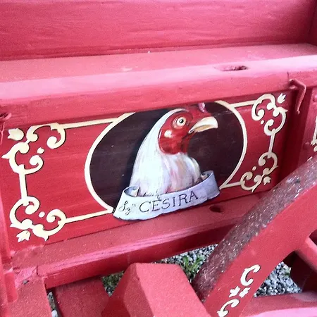 圣埃琳娜乡村民宿酒店 乡村民宿 圣吉米纳诺