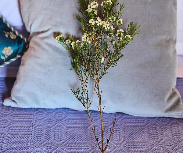 ポンデレ サンテレーナ *