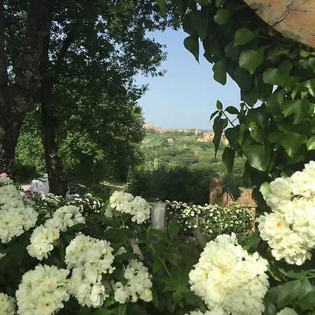 Gospodarstwo wiejskie Podere Sant'elena *