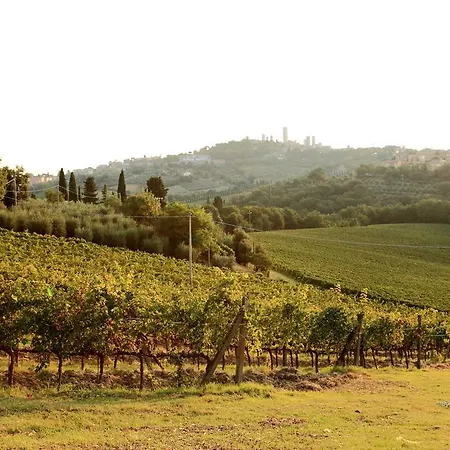 Gospodarstwo wiejskie Podere Sant'elena *