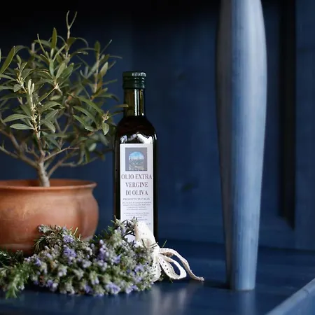 Podere Sant'elena Gospodarstwo wiejskie San Gimignano